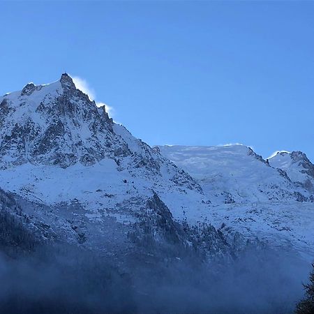 Les Alpins - Centre De Chamonix - Renove Avec Jardin Et Vue Imprenable Sur Le Montblancアパートメント エクステリア 写真